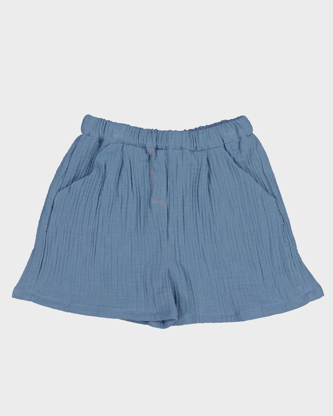 Octave Blueberry Shorts